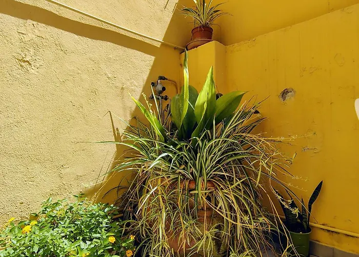 Nostos - Back To The Sea Bed & Breakfast Milazzo